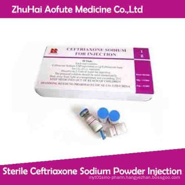 Sterile Ceftriaxone Sodium Powder Injection Medicine